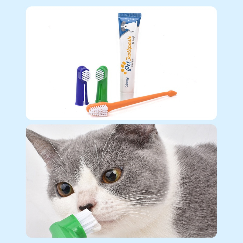 【An toàn khi nuốt phải 】Bộ bàn chải kem đánh răng vệ sinh miệng cho Thú Cưng Chó, Mèo.
