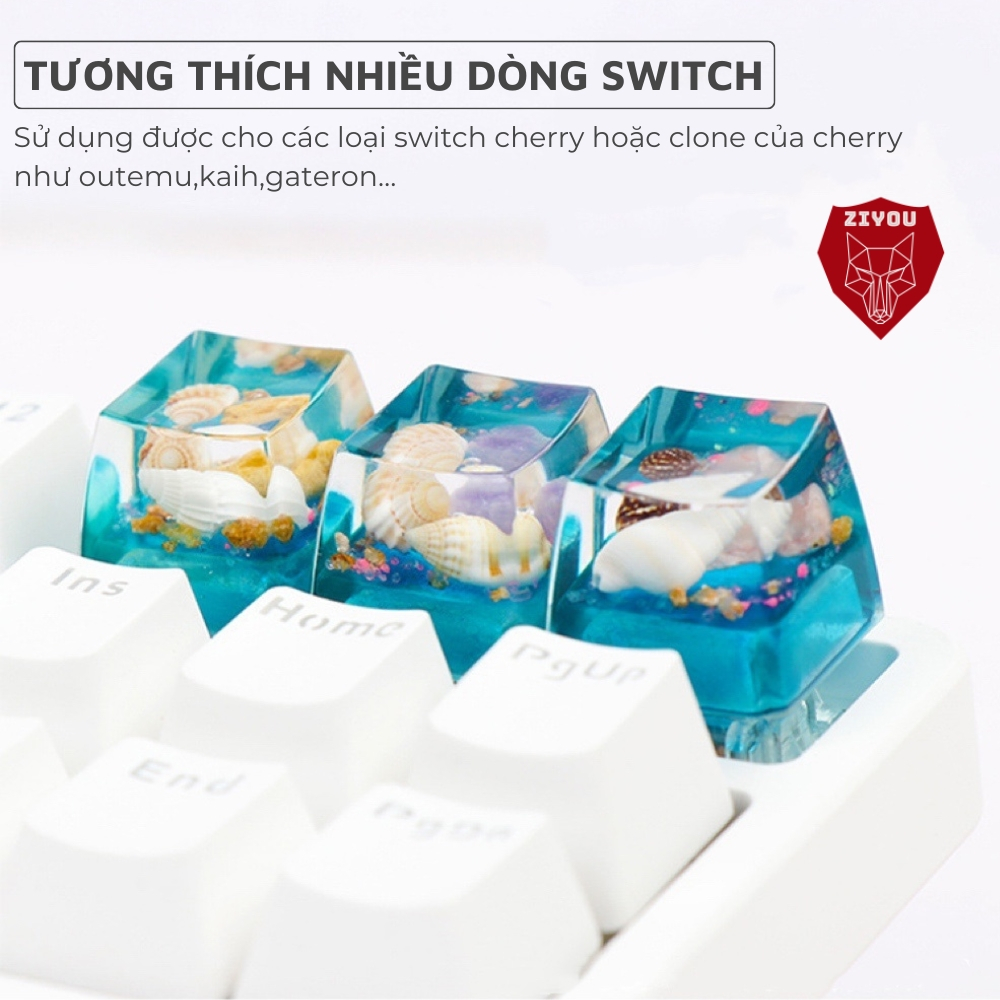 Keycap Bàn Phím Cơ Ziyou Ốc Tự Nhiên Siêu Trân Thực Vật Liệu Resin Cao Cấp Sử Dụng Cho Mọi Switch cherry MX RGB