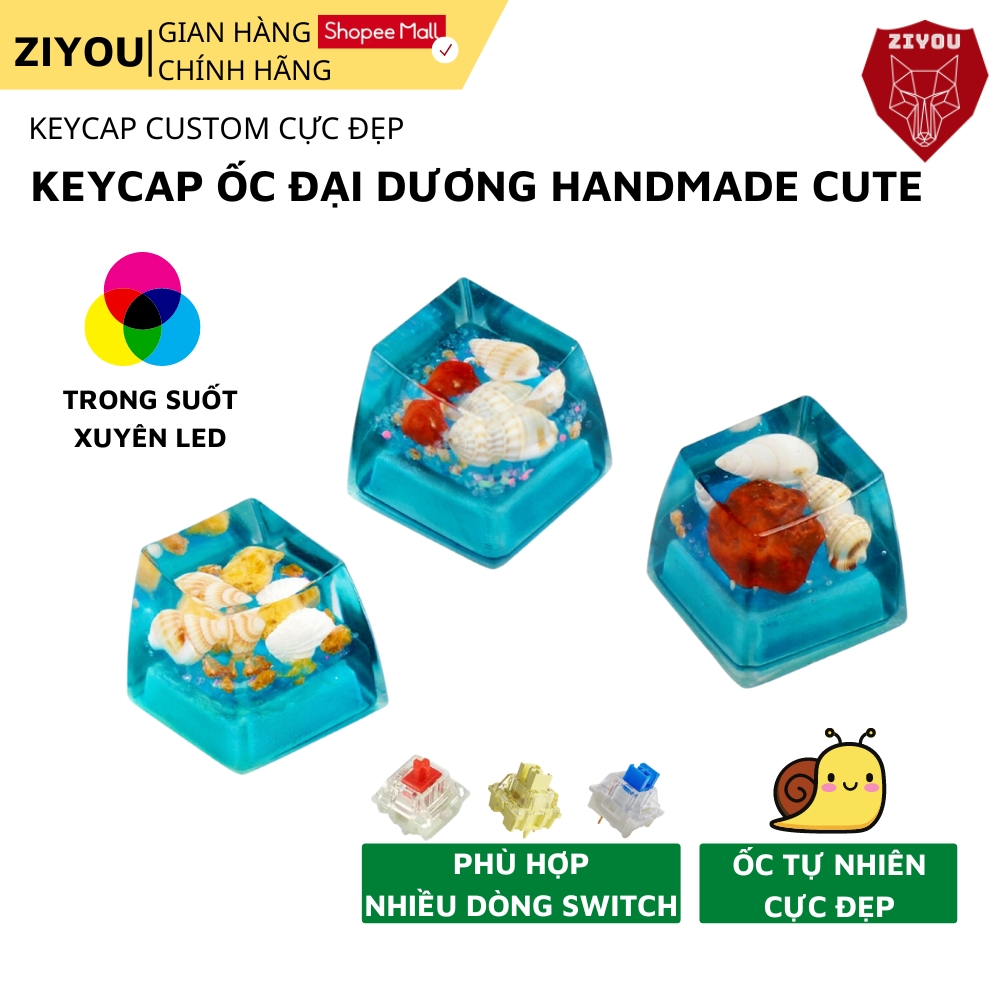 Keycap Bàn Phím Cơ Ziyou Ốc Tự Nhiên Siêu Trân Thực Vật Liệu Resin Cao Cấp Sử Dụng Cho Mọi Switch cherry MX RGB