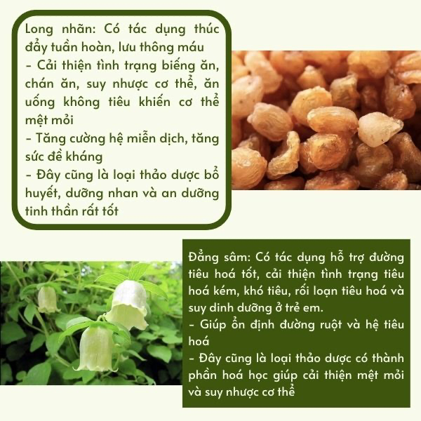 Trà Hỗ trợ tăng cân tăng cơ ăn ngon, ngủ ngon cho người cơ địa gầy lâu năm,mập thịt, không tích nước - Thiên Cát