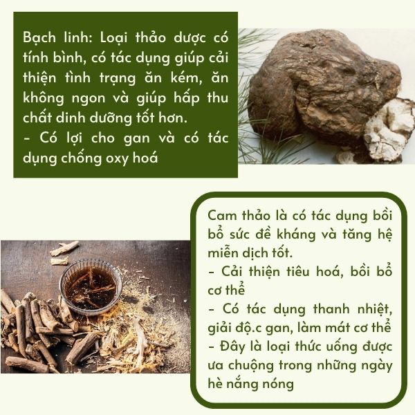 Trà Hỗ trợ tăng cân tăng cơ ăn ngon, ngủ ngon cho người cơ địa gầy lâu năm,mập thịt, không tích nước - Thiên Cát