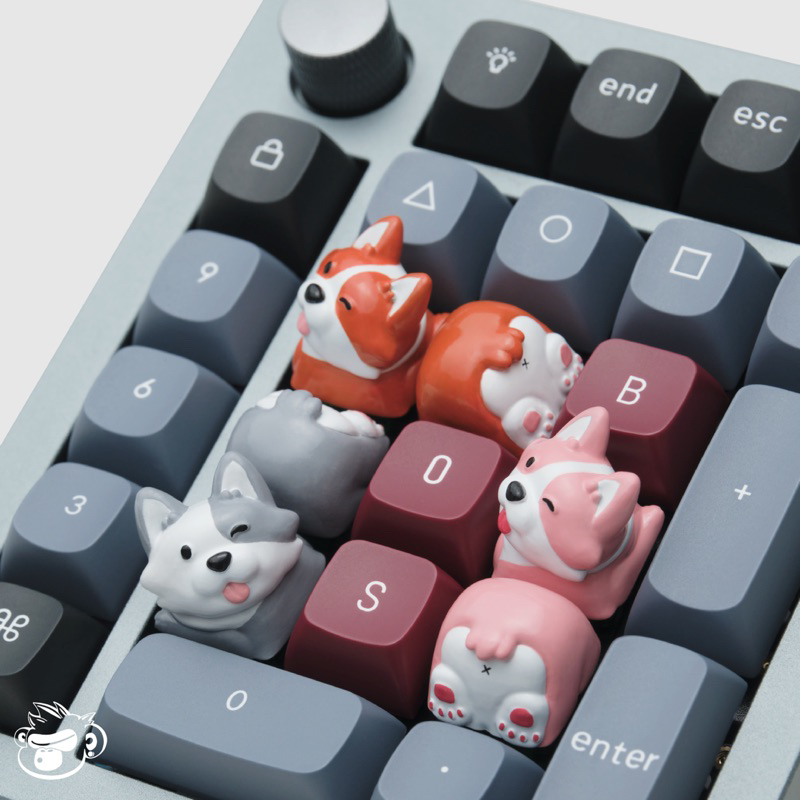 Corgi family keycap, 3 màu sắc chờ bạn đến bắt | keycap cho bàn phím cơ