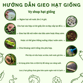Hạt giống cải làn (cải rổ) tím Thái Lan gói 100 hạt