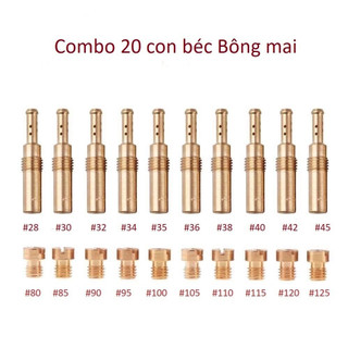 Combo a gồm 20 con : béc bông mai / giclo bông mai