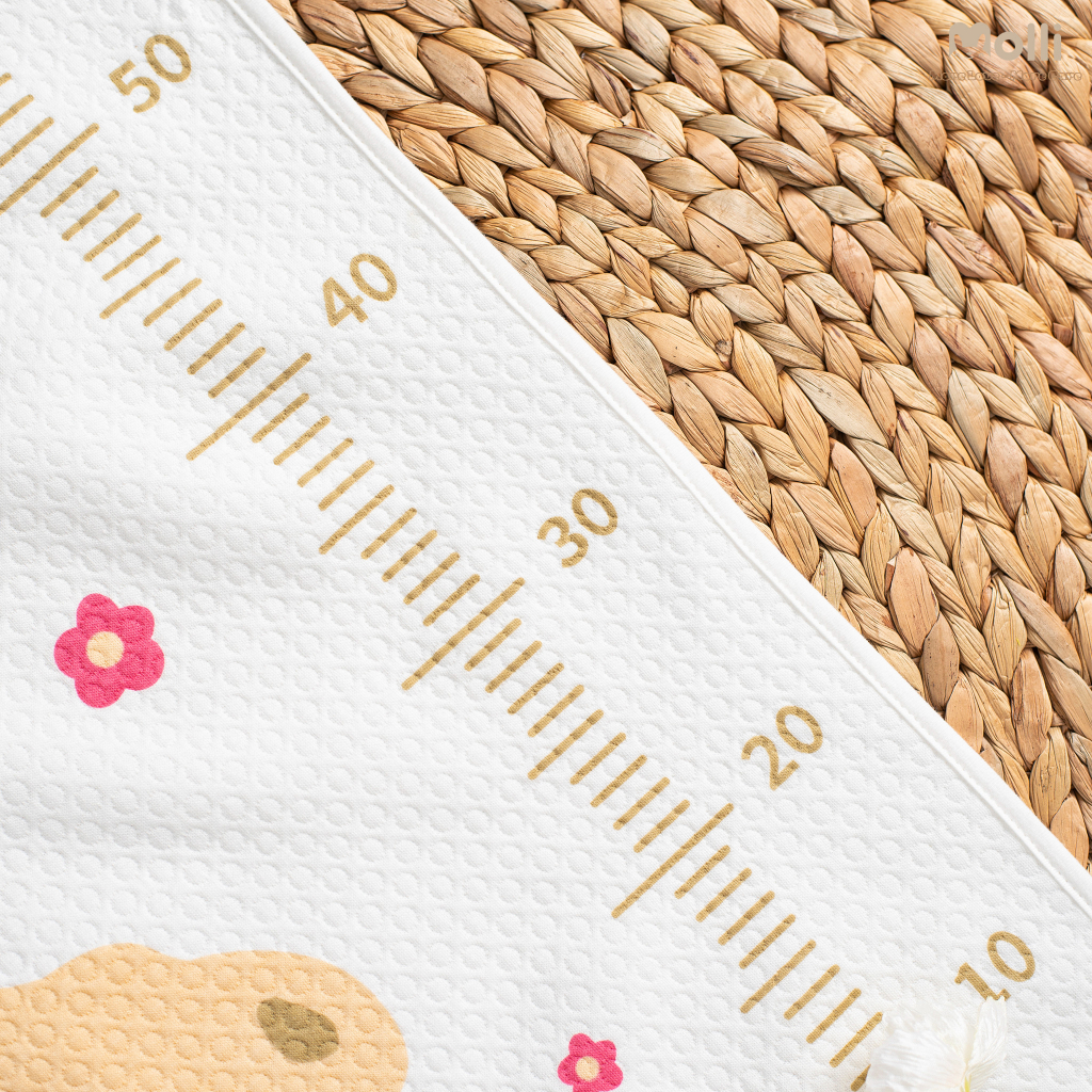 Tấm Lót Chống Thấm 4D Molli Cho Bé Sơ Sinh - Tấm Lót Chống Thấm Phong Cách Hàn Cho Bé