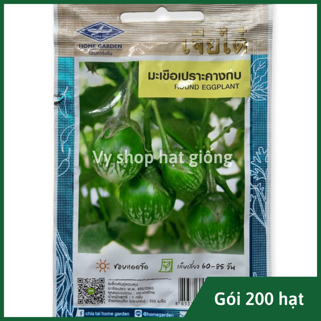 Hạt giống cà trứng rồng (cà da ếch) Thái Lan gói 200 hạt
