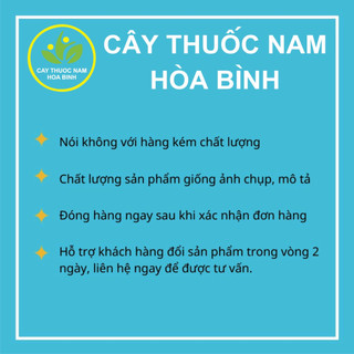 [GIÁ TẠI NGUỒN] 1kg Kim Tiền Thảo (xanh, sạch, mới)