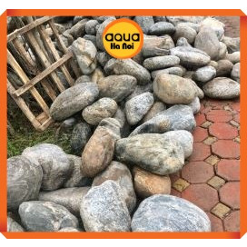 Đá cuội vân mây - Trang trí bể thủy sinh cá cảnh