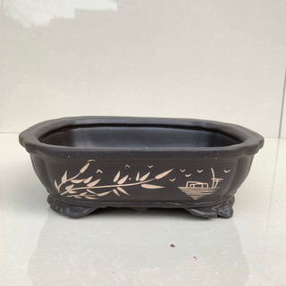 Chậu áng mây bonsai cây cảnh màu đen 1 size SP588