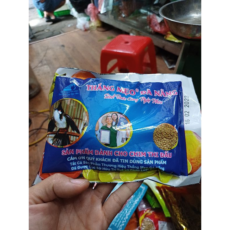 cám Chào mào thắng mẹo