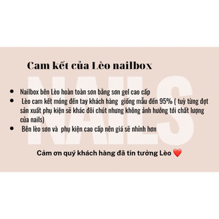 Nailbox tráng bạc full ngón