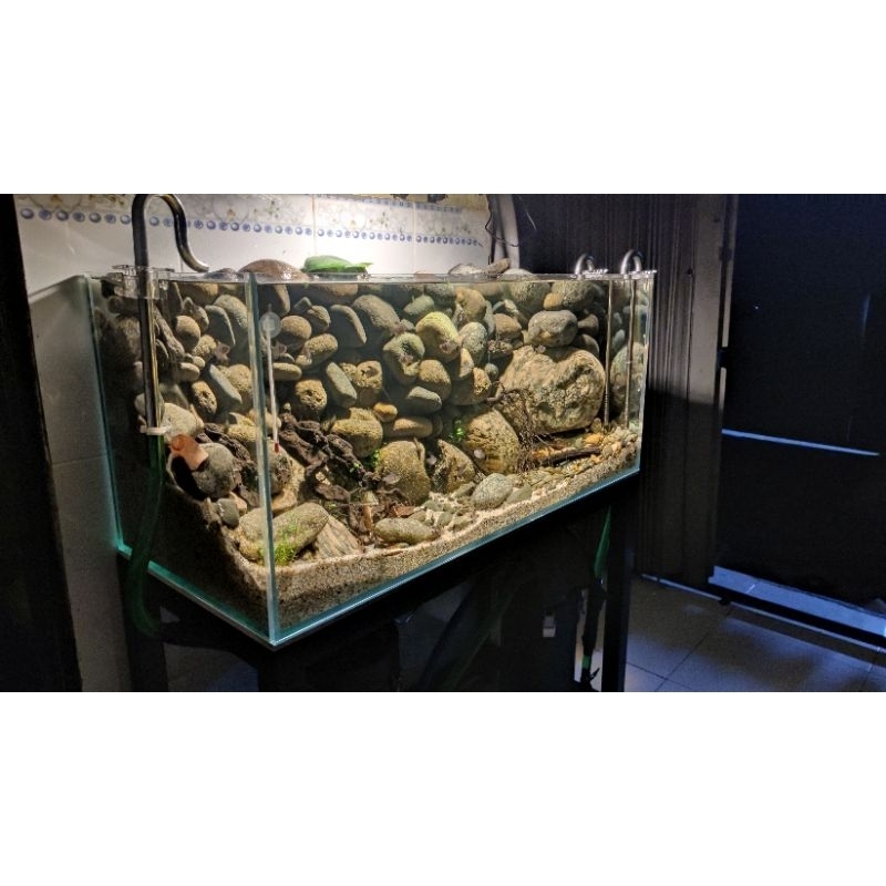 Đá Cuội Vân Mây  | Setup hồ thủy sinh, Biotope, Blackwater, Tiểu Cảnh, Sân Vườn,  Bể Mini