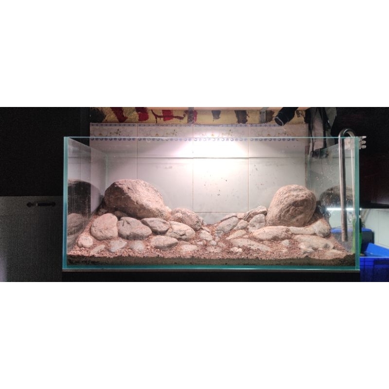 Đá Cuội Vân Mây  | Setup hồ thủy sinh, Biotope, Blackwater, Tiểu Cảnh, Sân Vườn,  Bể Mini