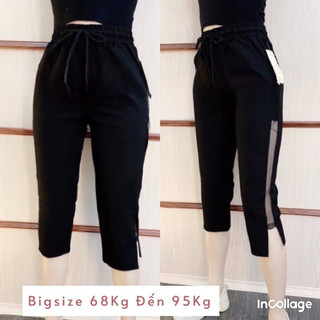 QUẦN LỮNG PHỐI LƯỚI BIGSZIE Nữ từ 68kg đến 95kg
