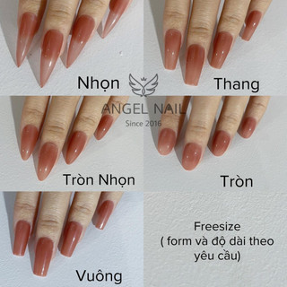 Nailbox tráng bạc full ngón