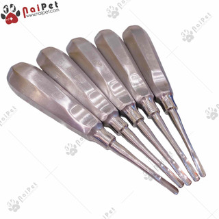 Dụng Cụ Nhổ Răng Nạy Bẩy Chuyên Dụng Pakistan RHM001