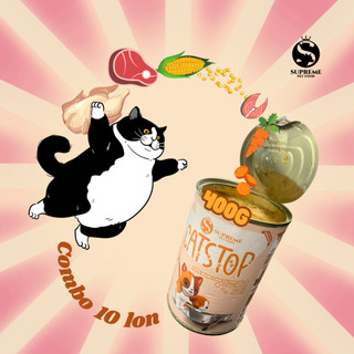 Combo 10 lon Pate cho chó mèo mix vị, mỗi lon 400 gram