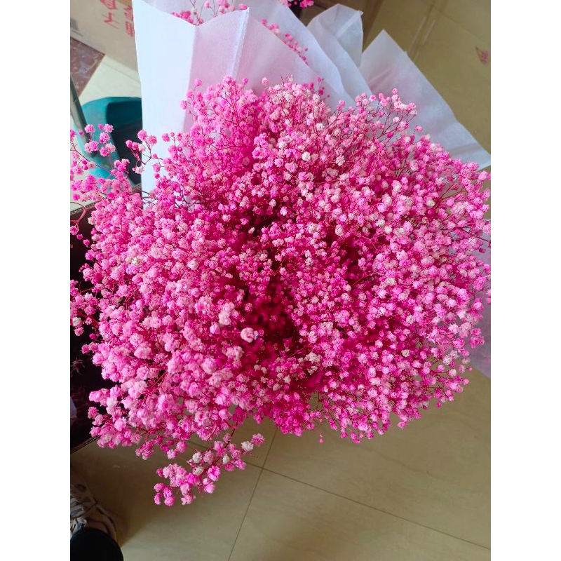 Hoa Khô- 1 Cành Hoa Baby Loại 1, Hành Tuyển Trang Trí Nhà Cửa