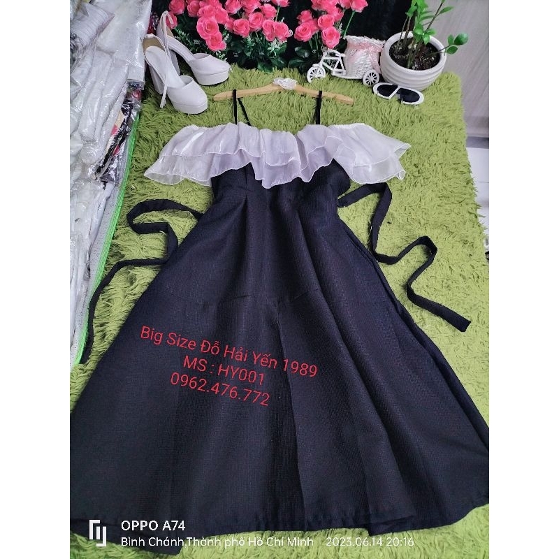 Đầm Big Size
