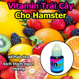 Vitamin Trái Cây Tự Nhiên Thái Lan Cho Hamster-Rat-Đuôi Mập
