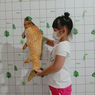 GẤU BÔNG CÁ CHÉP 3D NHIỀU MẢU 40CM