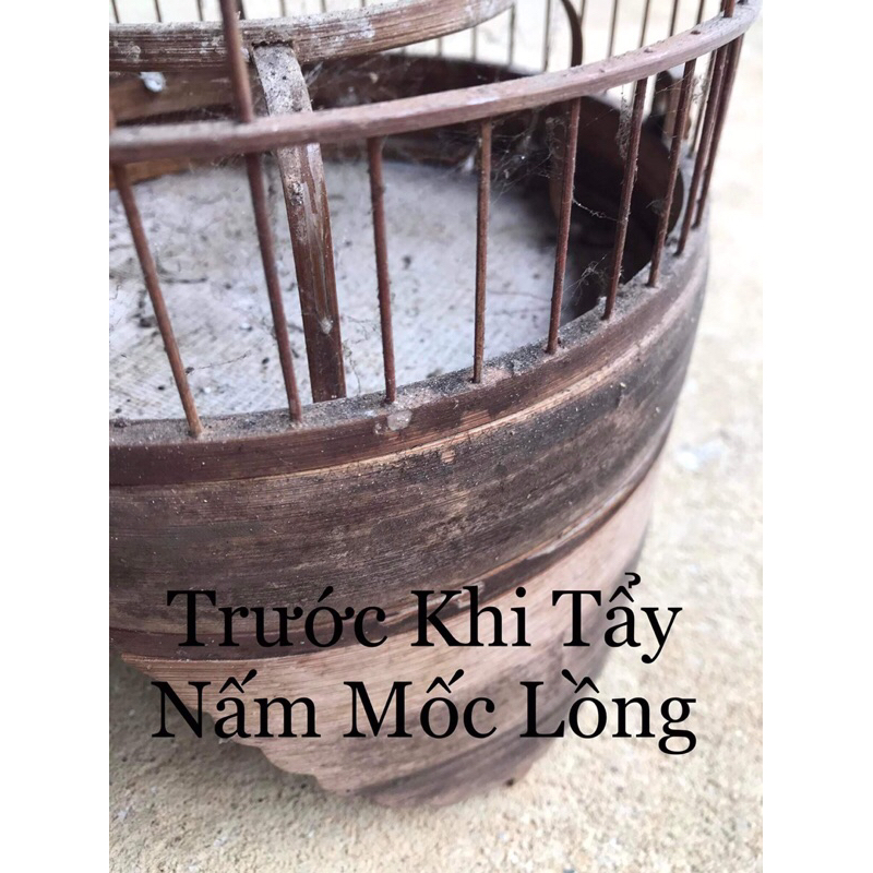 Combo Sản Phẩm Nước Tẩy và Dầu Quét Lồng Chim Tiều Phu