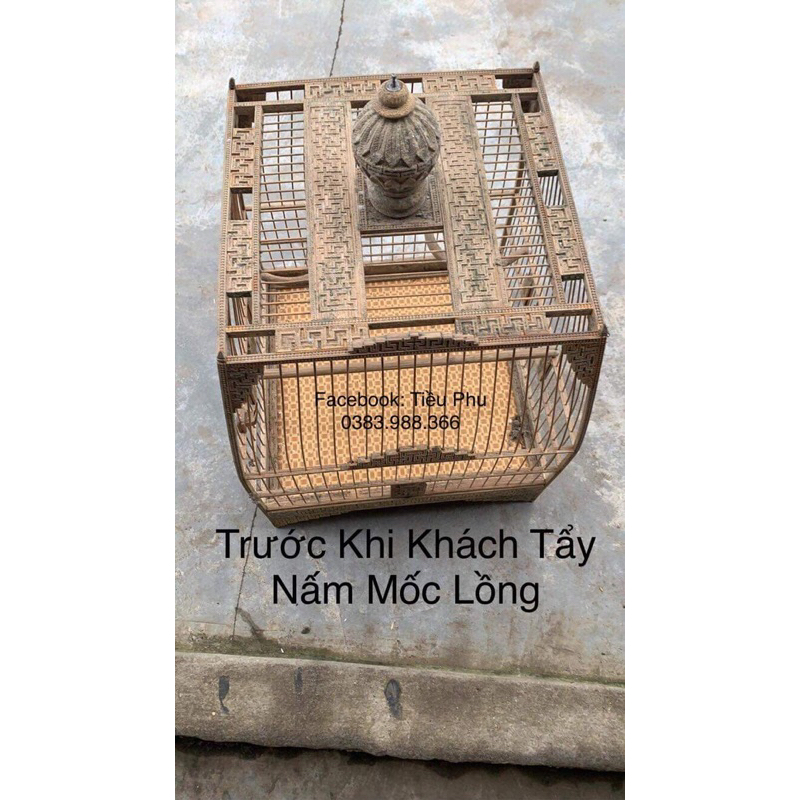 Combo Sản Phẩm Nước Tẩy và Dầu Quét Lồng Chim Tiều Phu