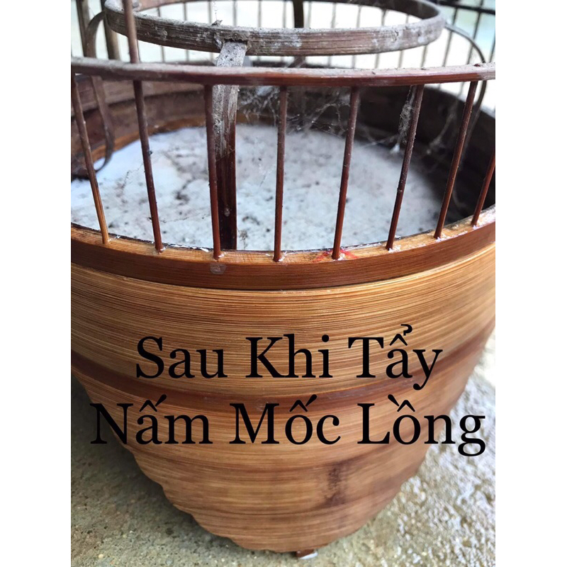 Combo Sản Phẩm Nước Tẩy và Dầu Quét Lồng Chim Tiều Phu