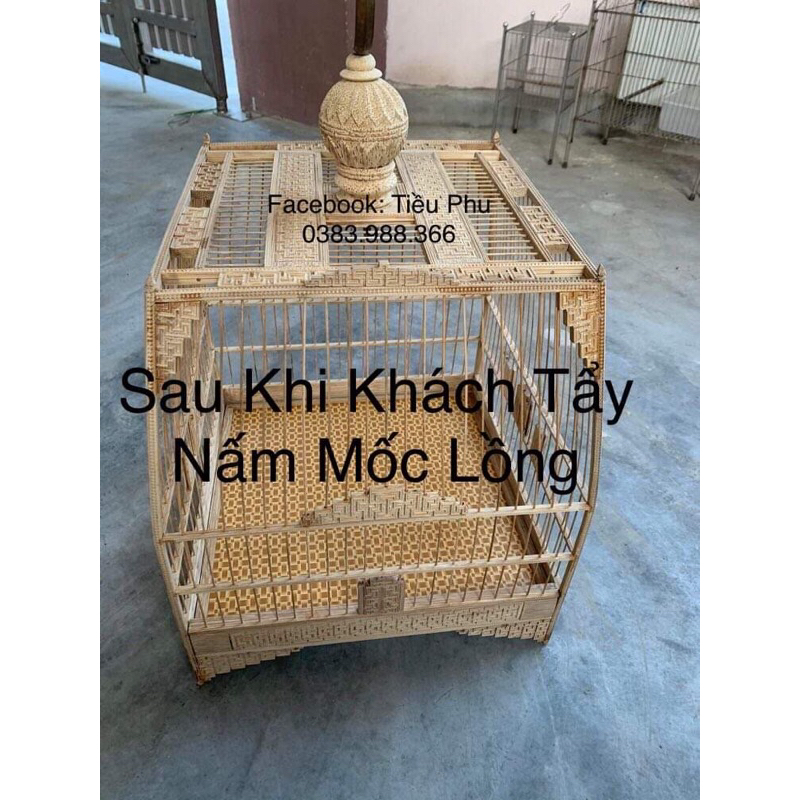 Combo Sản Phẩm Nước Tẩy và Dầu Quét Lồng Chim Tiều Phu