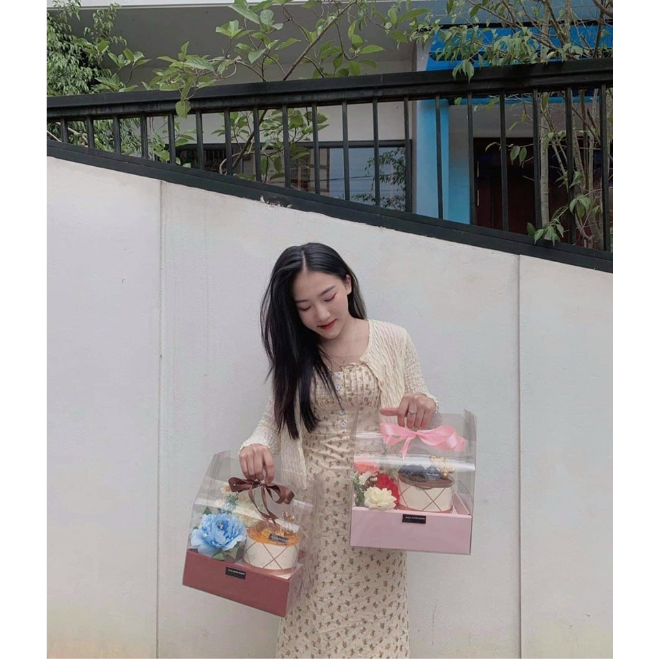 Túi Hộp Mica Vali Siêu Đẹp 2 Màu. Đựng Quà Tặng, Trái Cây Nhập Khẩu