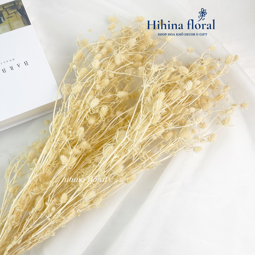 Hoa Khô Nhím Nhỏ Decor Trang Trí, Làm Đồ Handmade