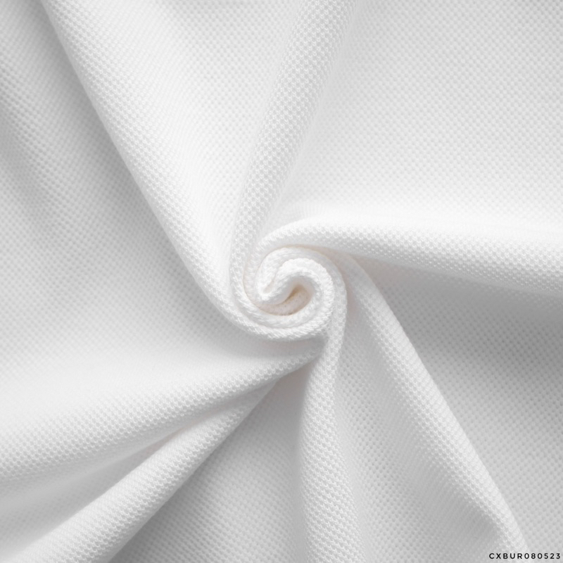 POLO B.BERRY VIỀN CỔ IN CHỮ