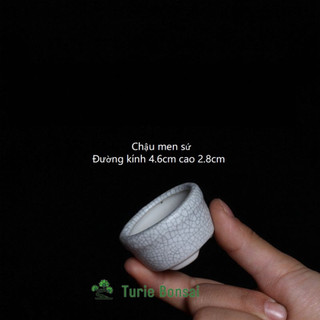 Chậu sứ men rạn siêu mini rất đẹp