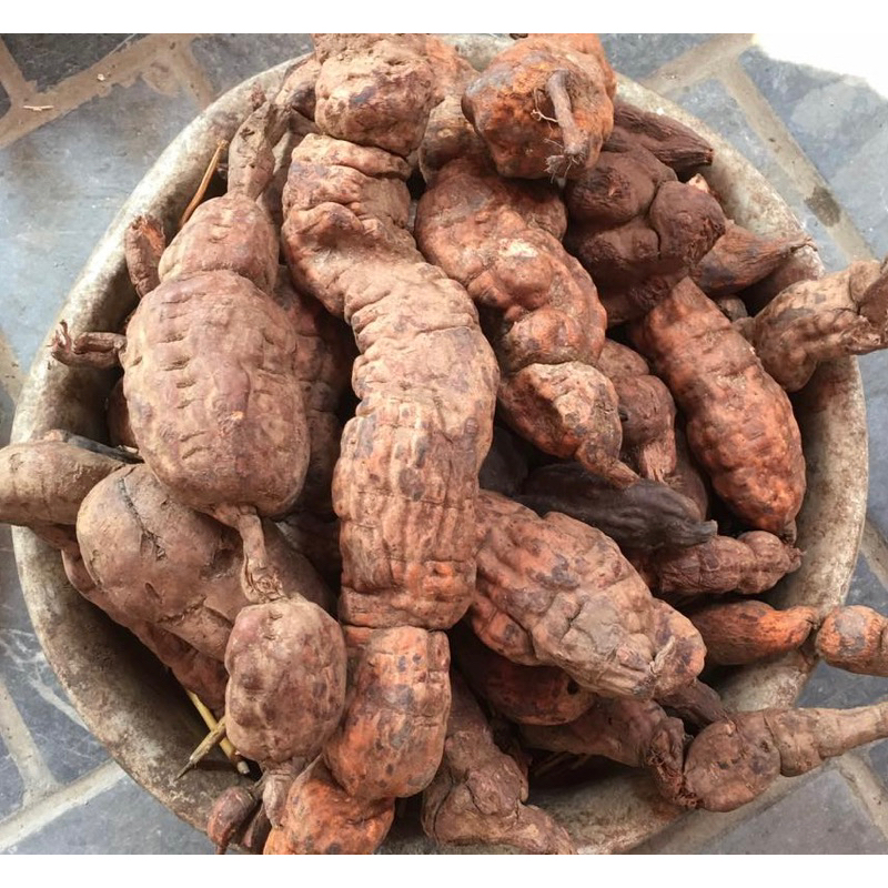 Viên Hà Thủ Ô Mật Ong Mè Đen