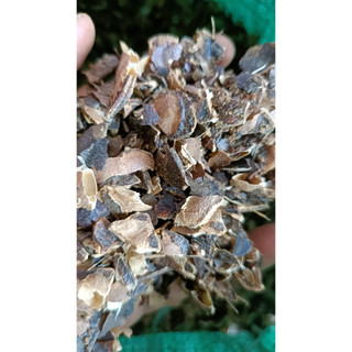 500gram vỏ bồ kết khô
