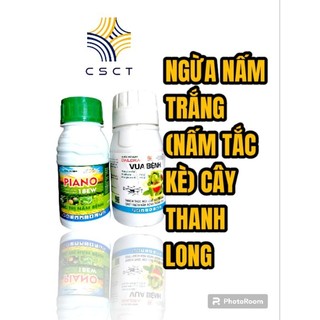 Thuốc ngừa bệnh nấm trắng cây thanh long, bệnh nấm tắc kè thanh long