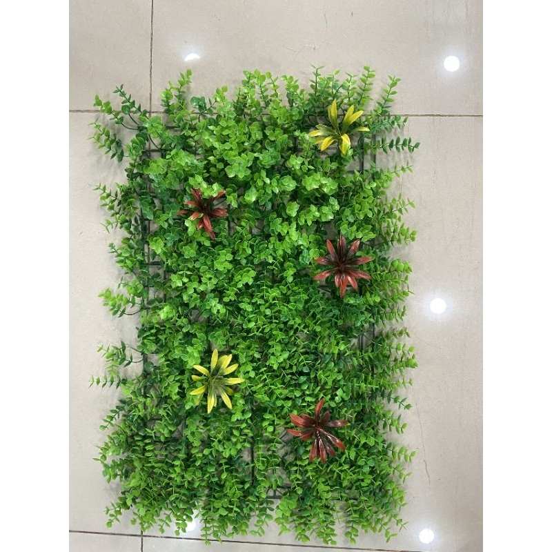 Thảm cỏ tai chuột có hoa, Cỏ treo tường giá rẻ