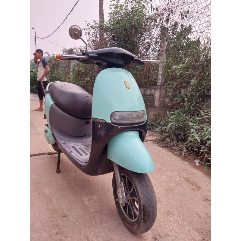 xe điên gogo