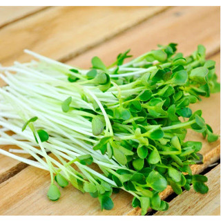 [Chỉ Giao HCM] Cải Mầm - 100g