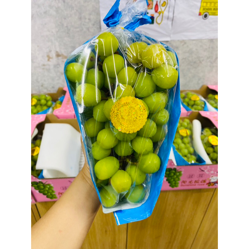 HOẢ TỐC NHO SỮA CHÙM SIÊU NGON SIÊU NGỌT