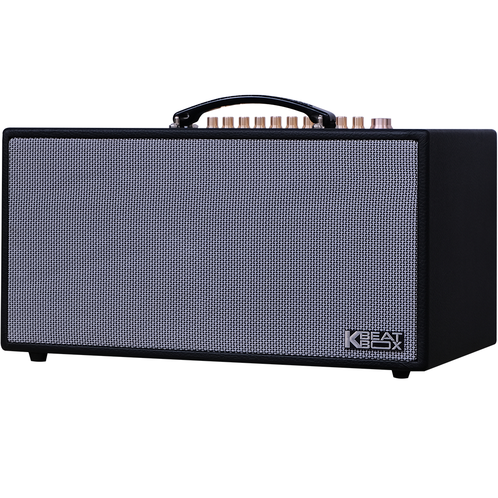 Dàn âm thanh di động xách tay ACNOS HN450