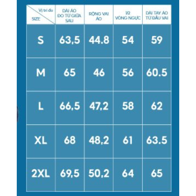 APF04 - Rập giấy may áo phông Unisex
