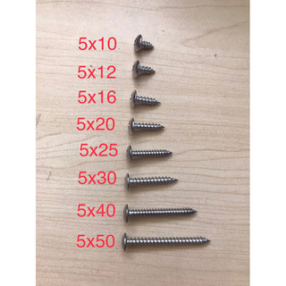Vít vặn gỗ đầu dù inox 201 ( bịch 100 con)