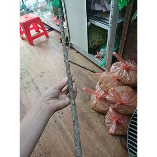 cầu gạo cho chim đứng