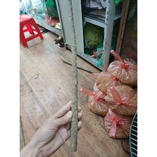 Cầu gạo cho chim đứng