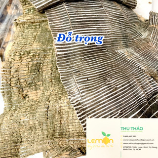 1Kg Đỗ trọng khô miếng to đẹp - Đỗ trọng thơm ngon bổ dưỡng, hầm canh, sắc nước