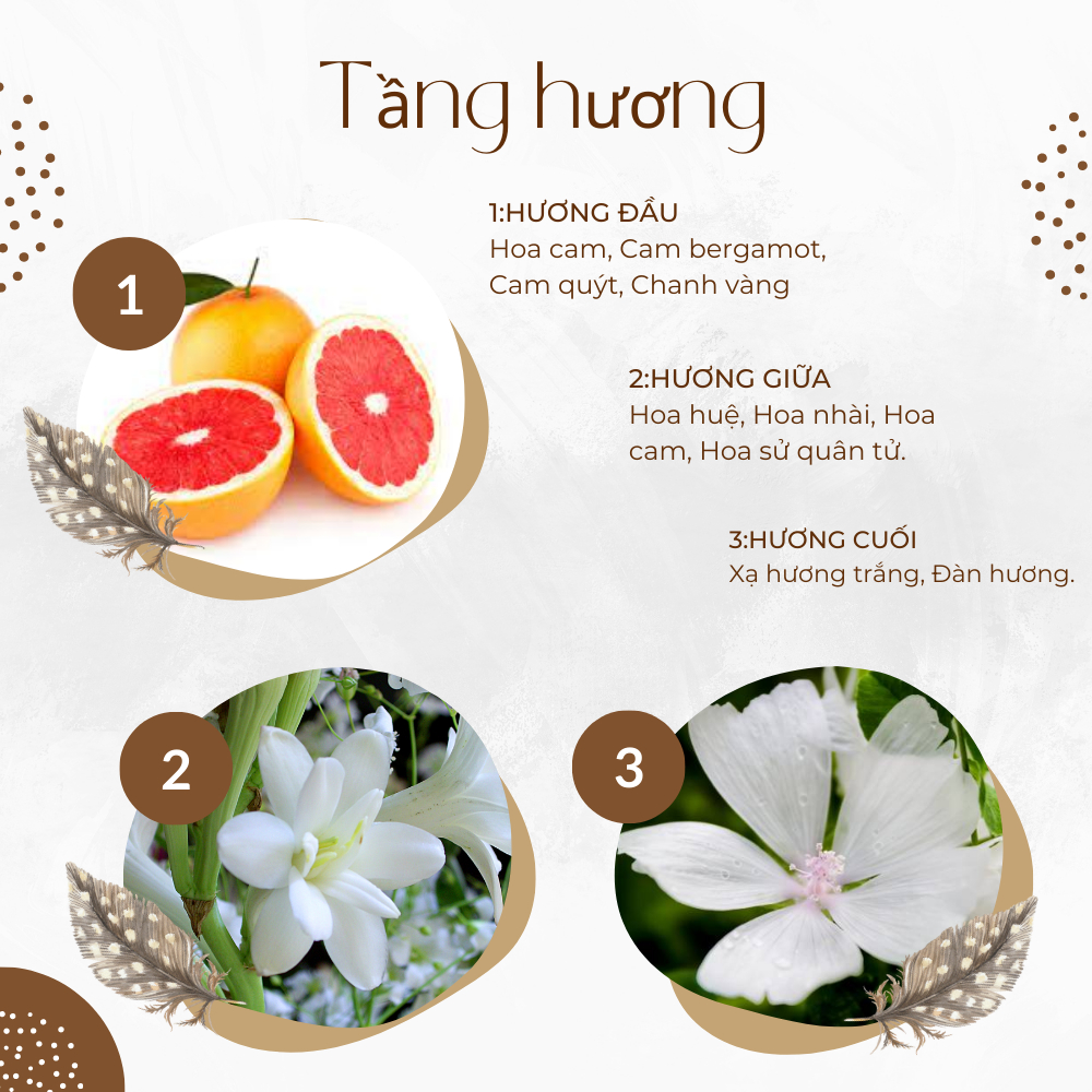 Nước hoa nữ Gucci Bloom Gocce Di Fiori EDT chiết 10ml thơm lâu nhẹ nhàng tươi mới- Hakata Official