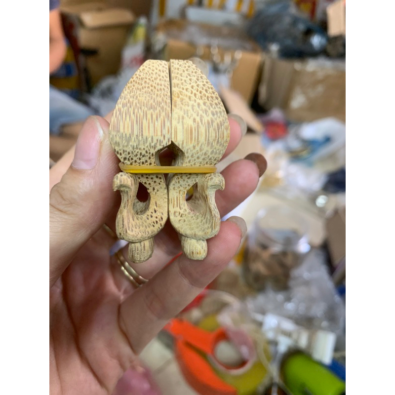 Chân quỳ tre già đục tay