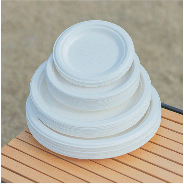 Set 50 đĩa nhựa dụng một lần, đĩa nhựa đựng thức ăn, hoa quả…. Dùng cho bữa tiệc, picnic, dã ngoại…. tiện dụng