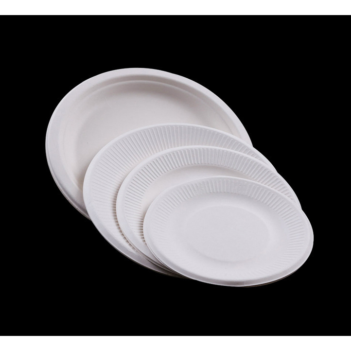 Set 50 đĩa nhựa dụng một lần, đĩa nhựa đựng thức ăn, hoa quả…. Dùng cho bữa tiệc, picnic, dã ngoại…. tiện dụng